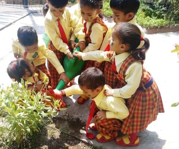 Kindergarten